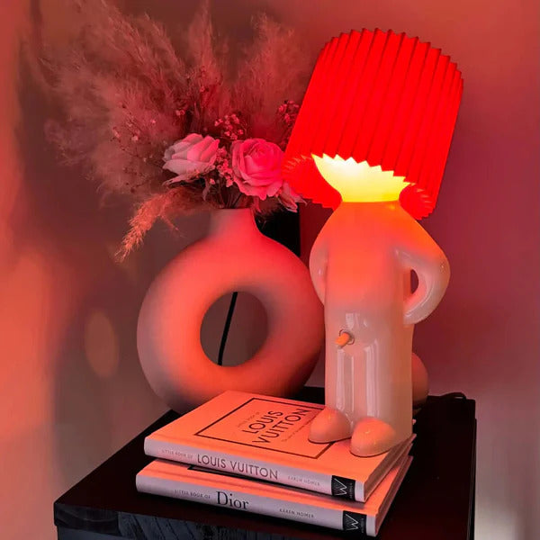 Mr. Brightside | Speelse Verlichting